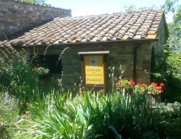 fienile indipendente cartello zafferano con fiori