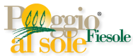 Farmhouse in Fiesole near Florence,Italy:Poggio al Sole Agriturismo